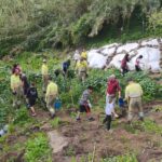La Unidad de Medio Ambiente impulsa la recuperación de bosques de galería con la participación de escolares