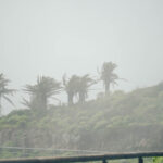 El CECOPIN gestiona más de un centenar de incidencias durante el paso de la borrasca Therese