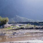 El Cabildo rebaja el PEIN a alerta y mantiene la aplicación de medidas preventivas