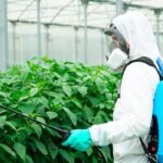 El Cabildo insular oferta cursos de manipulador de productos fitosanitarios de nivel básico y cualificado