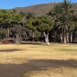 Iniciativa por La Gomera (IxLG) reclama un plan de choque urgente para revertir el grave deterioro del Parque de la Torre del Conde