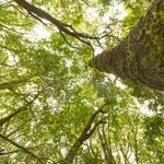 Anaga Biofest completa en La Gomera su primer ciclo de hermanamientos con las siete Reservas de la Biosfera de Canarias