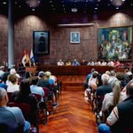El Cabildo pone en marcha un programa para la protección forestal, gestión de material combustible y biodiversidad